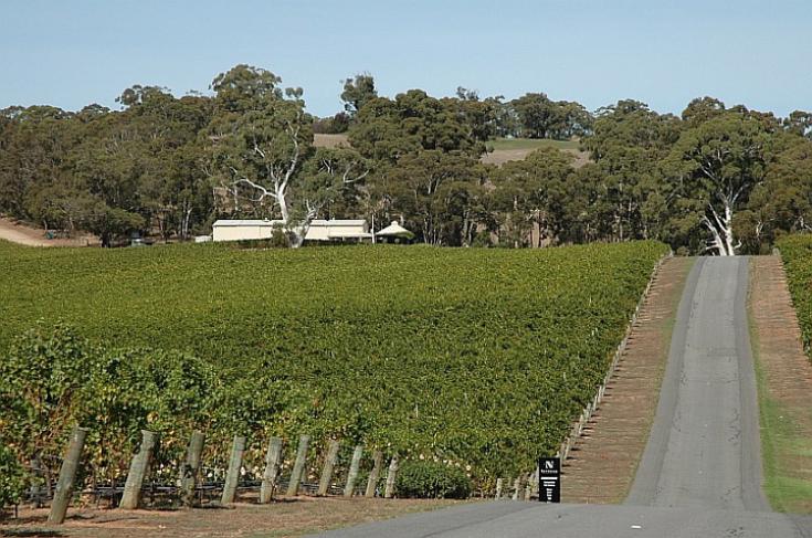 Une excursion de l'école dans les vignobles de la région