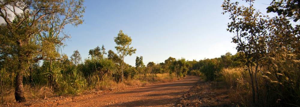 Cours d'anglais pour étudiants à Darwin en Australie