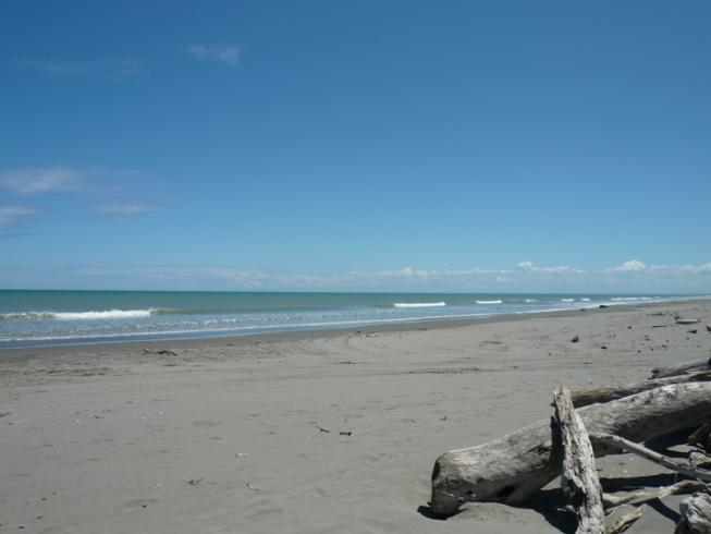 Foxton Beach près de Wellington (île du Nord)