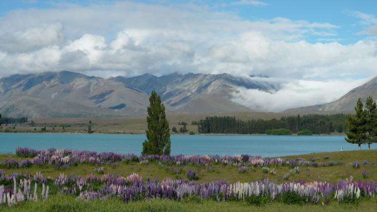 Kac Tekapo (île du Sud)