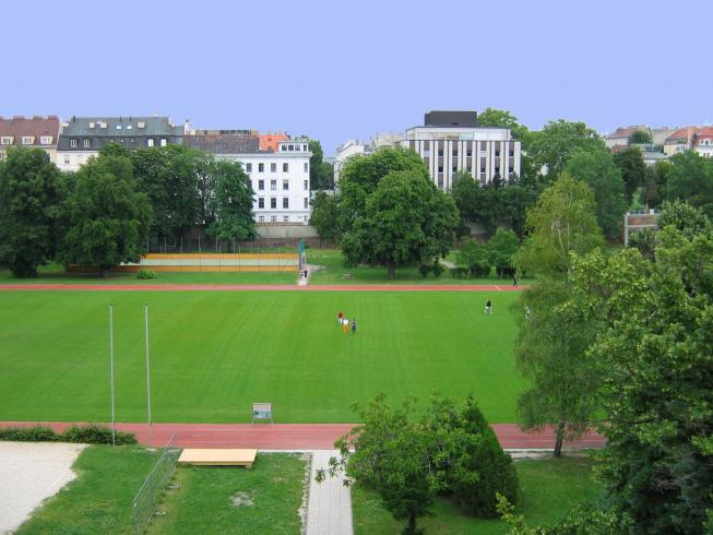 Superbe parc sur le campus où les étudiants peuvent venir faire du sport