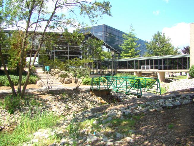 Le magnifique campus de l'école