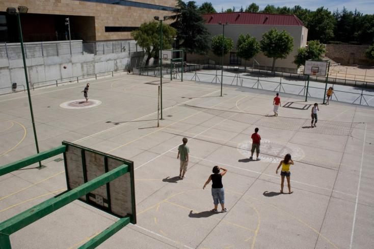 Les terrains de sport